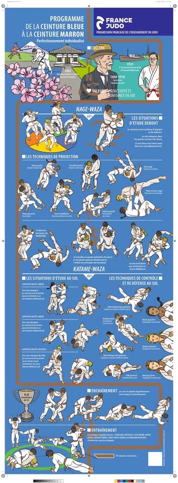 Ceinture marron - progression officielle